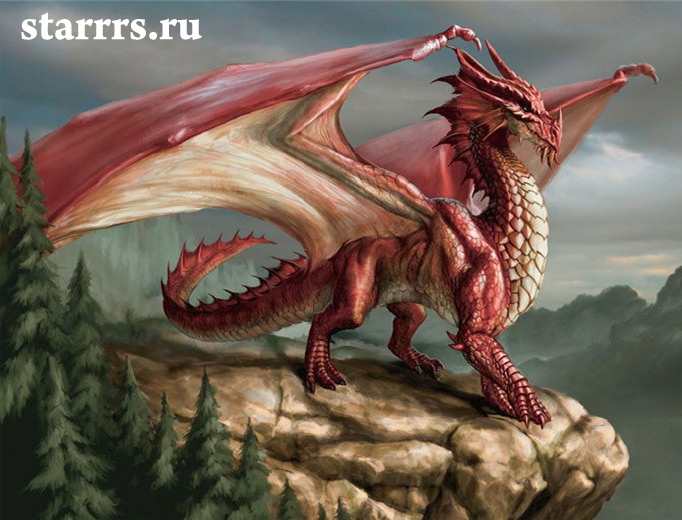 drakon_krasnyy_ognennyy_dragon_red_fire