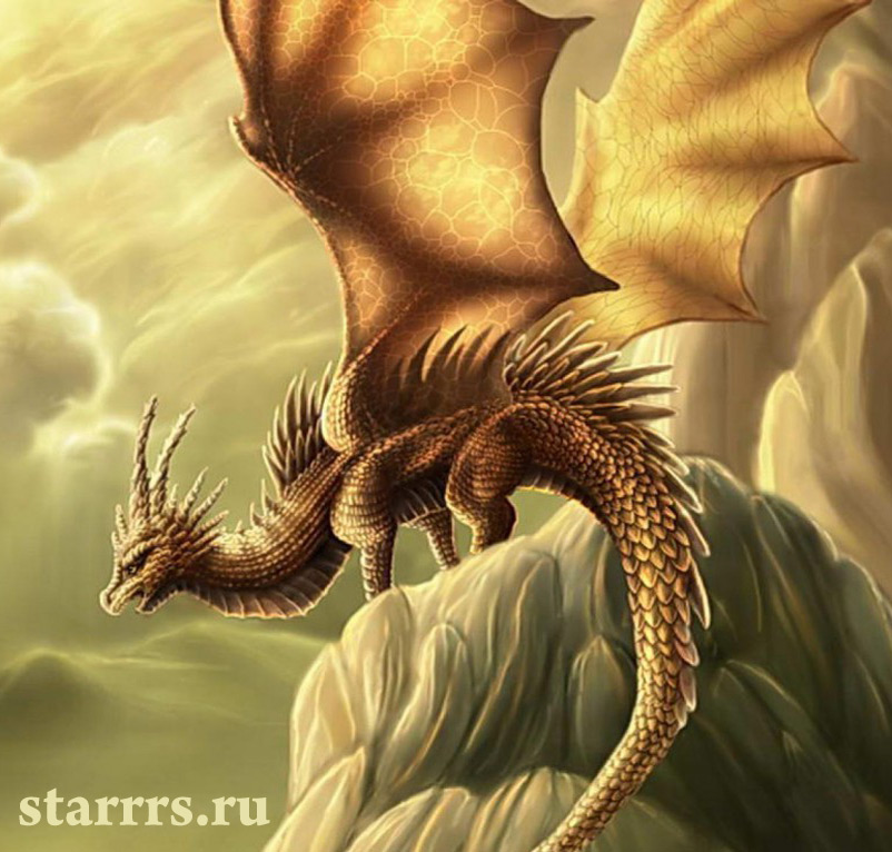 drakon_zhyoltyy_zemlyanoy_dragon_yellow_earth